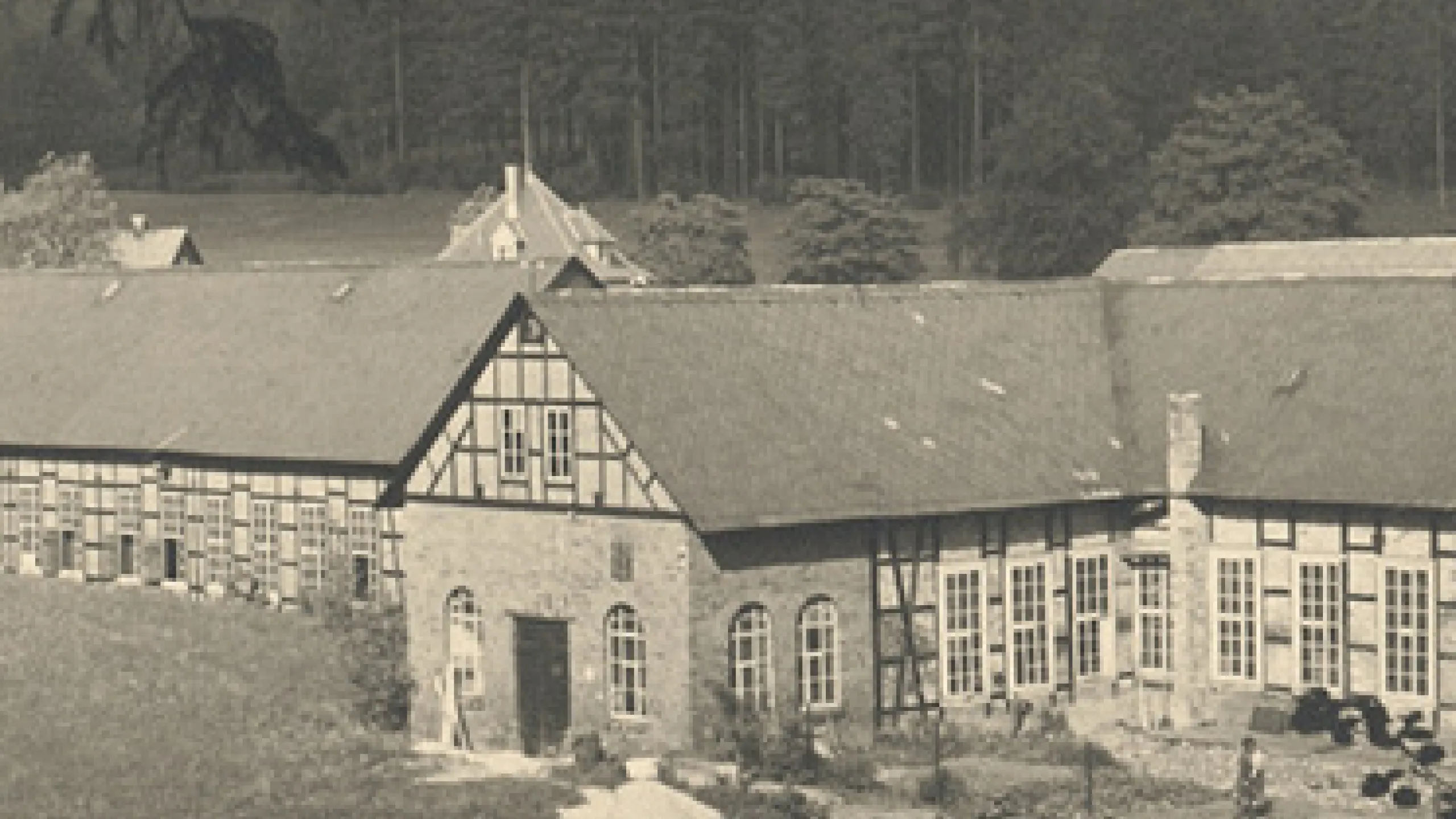 Altes Gebäude vor einem Wald.
