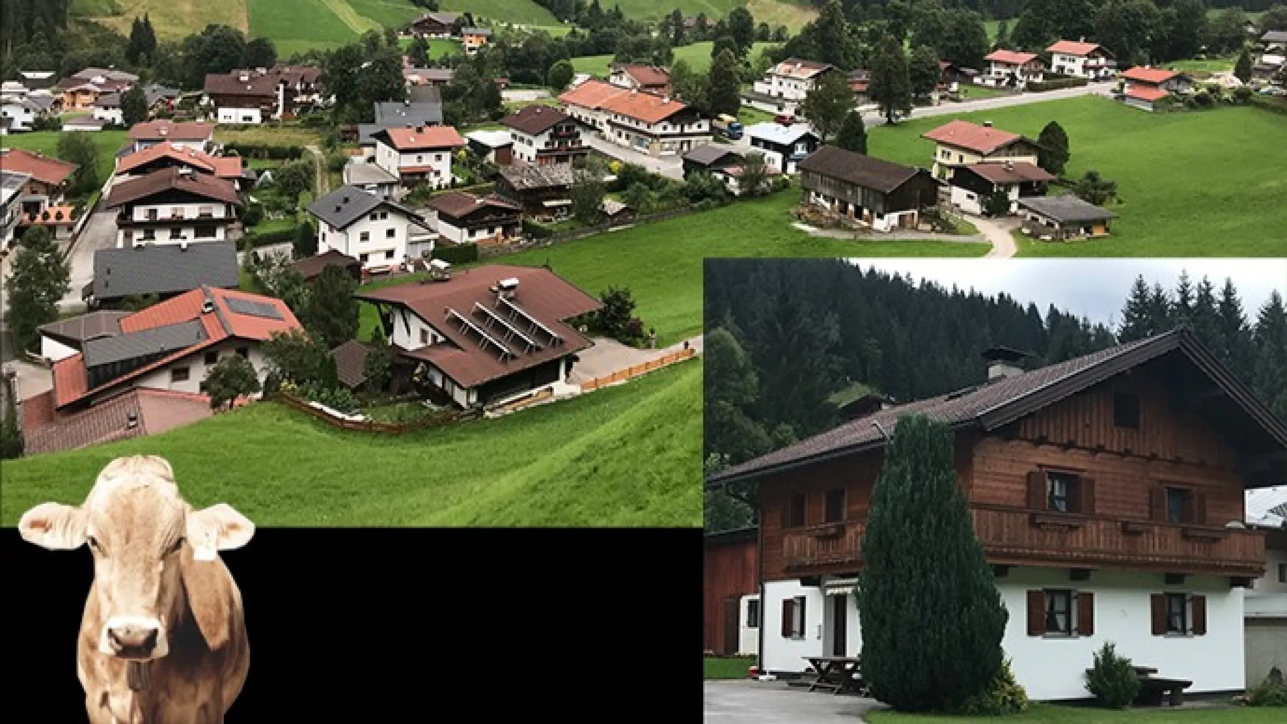 Kelchsau Ferienhaus